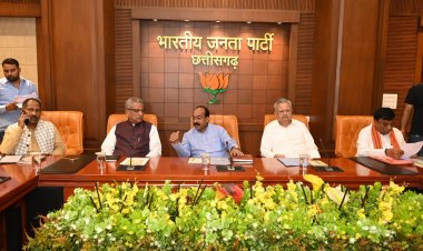 *भाजपा कार्यकर्ता लक्ष्य की ओर बढ़ रहे हैं- माथुर*