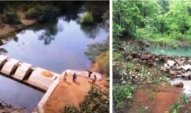 *नरवा विकास कार्यक्रम: धमतरी जिले के वनक्षेत्रों में भू-जल स्तर में हो रहा लगातार सुधार*