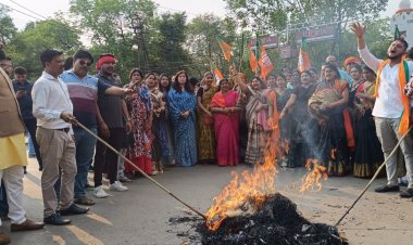 *शराब बंदी को लेकर भाजपा महिला मोर्चा ने पूरे छत्तीसगढ़ में किया मुख्यमंत्री का पुतला दहन*