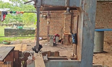 *वन विभाग: अवैध कोयला भट्टा के संचालन पर कार्रवाई* 