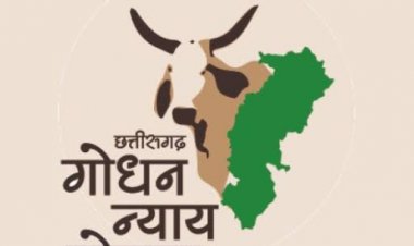 *मुख्यमंत्री भूपेश बघेल आज गोधन न्याय योजना के हितग्राहियों को जारी करेंगे 13.57 करोड़ रूपए*