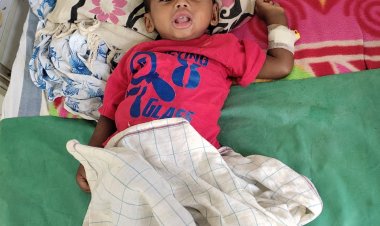 मलेरिया से ग्रसित बच्चे का उपचार के दौरान निकला जापानी बुखार