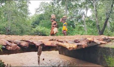 प्रशासन ने कई सालों तक किया नजरअंदाज मजबूर ग्रामीणों ने खुद ही बना लिया लकड़ी का अस्थाई पुलिया