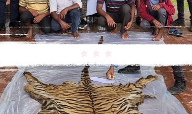 कोण्डागांव पुलिस ने किया बाघ खाल के तस्करो को गिरफ्तार