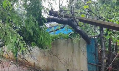 कोपरा पंचायत अंधेरों से जूझ रहा सुध लेने वाला कोई नहीं