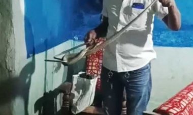 स्नेक रेस्क्यू