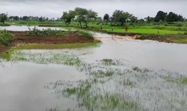 पेण्ड्रा के अमरपुर से गिरारी पहुच मार्ग पर स्थित फुटहा बांध जो मिट्टी से सालो पहले बनाया गया था अत्यधिक पानी आ जाने के चलते साइड से पानी बाहर निकलने लगा जिससे लोगो की फसलों को भी काफी नुकसान