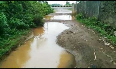 नगर पालिका के वार्ड 12 में बने सीसी सड़क से सीमेंट वह गिट्टी गायब