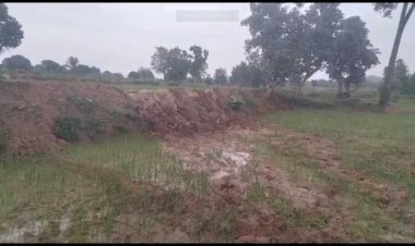 लगभग 30 से 40 हाथियों का दल पहुंचा जिले के वाड्रफनगर शहर के करीब कोटराही गांव के अकवारी पारा में