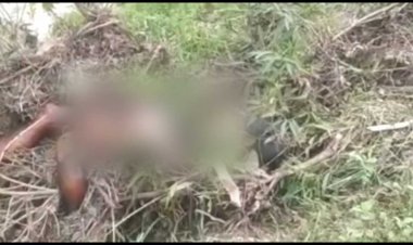 बलरामपुर के नजदीक से बहने वाली सेंदुर नदी सतीसेमर बयका घाट से आगे झारी यादव.  के घर के पास स्थान पर एक लावारिस डेथ बॉडी सड़े गले हालत में झाड़ी में  मिला