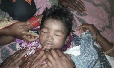 आंगनबाड़ी के सामने मधुमक्खी के हमले से 5 वर्षीय छात्र ऋषभ की दर्दनाक मौत