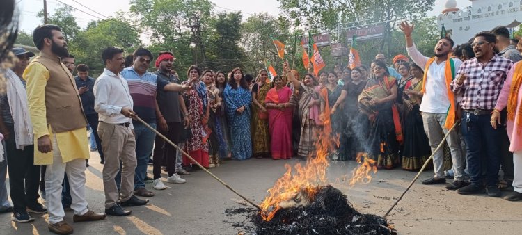 *शराब बंदी को लेकर भाजपा महिला मोर्चा ने पूरे छत्तीसगढ़ में किया मुख्यमंत्री का पुतला दहन*