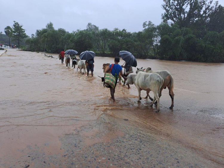 भोपालपट्टनम - तारलागुडा नेशनल हाइवे मार्ग भारी बारिश के चलते देपला के पास हुआ जाम , कई यात्री जाम में फंसे