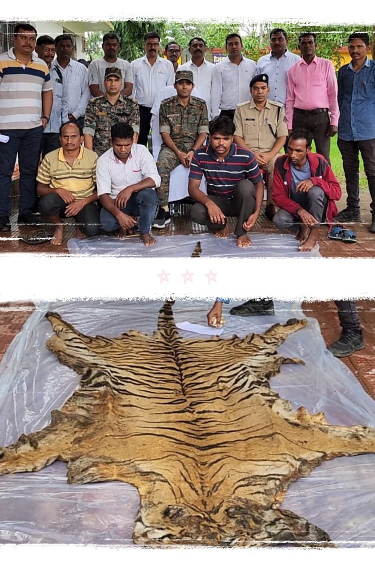  कोण्डागांव पुलिस ने किया बाघ खाल के तस्करो को गिरफ्तार