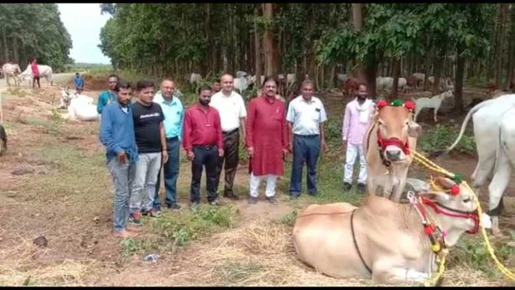 विधायक जैन ने हितग्राहियों के साथ भूपेश है तो भरोसा है के नारे लगाए*